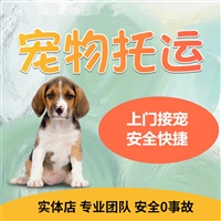 重庆万盛宠物托运邮寄哪家服务好