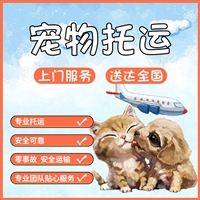 湖北武汉汉南宠物托运
