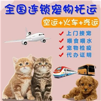 2026宠物托运黄冈团风正规宠物托运宠物火车托运