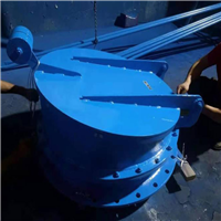 碳钢重锤式防爆阀 弹压式泄爆阀 管道隔爆阀 不锈钢压力释放阀