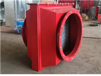  除尘废气管道阻火器 燃气管道隔爆止回阀 不锈钢防爆阻火装置