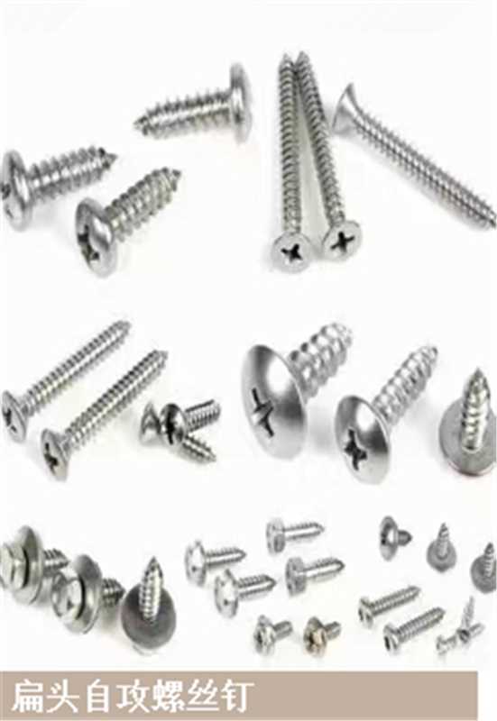 扁头自攻螺丝钉