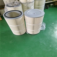 PTFE 阻燃 东丽除尘滤筒350*660