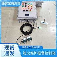 BWBQ-FTA-2低氮燃烧器熄火检测设备 智能实时监测
