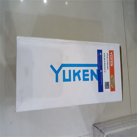 原装YUKEN电磁溢流阀BSG-06-2B3A-D24-N1