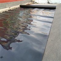 广西0.2防水膜PE防水层接受订制