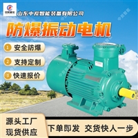 实用粉尘防爆振动电机  粉尘防爆振动电机  粉尘防爆振动电机