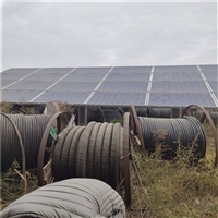 大冶市矿用电缆回收哪里电缆回收