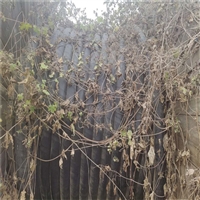 三门峡市电线回收S11变压器回收