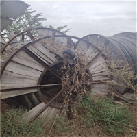 卫滨区油浸式变压器回收上门回收