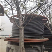 吉木萨尔县控制电缆回收240电缆回收