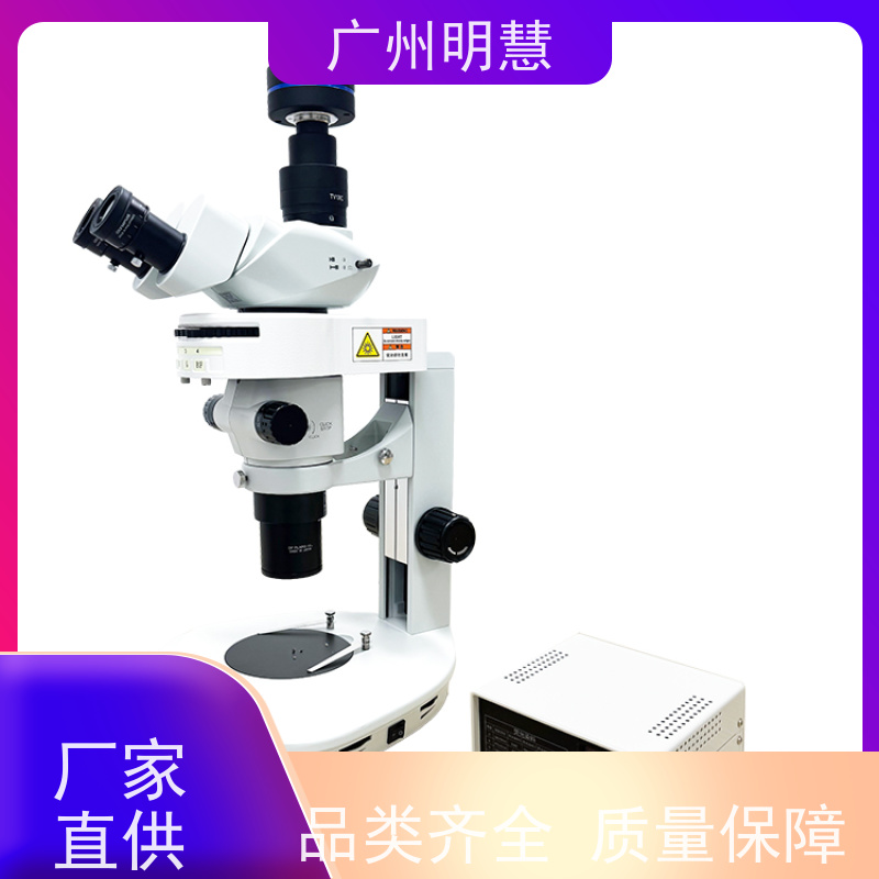 明慧 MHZF700 观察果蝇 荧光 体视显微镜
