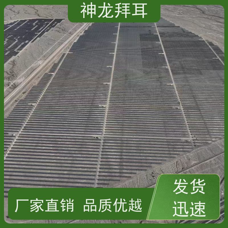 河北神龙拜耳 光伏支架怎么卖 快速响应 供应