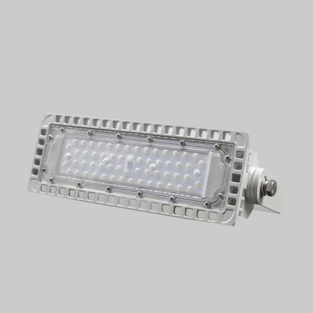  LED防眩泛光灯 用于石油化工制药等易燃易爆场所 用途广泛 长期供应