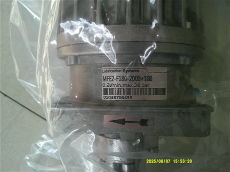 MFE2-F180-2000+100 SKF福鸟 润滑系统泵DU56N2075+100