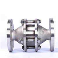 FWL-1 DN65阻爆轰型 新型可燃气体管道阻火器