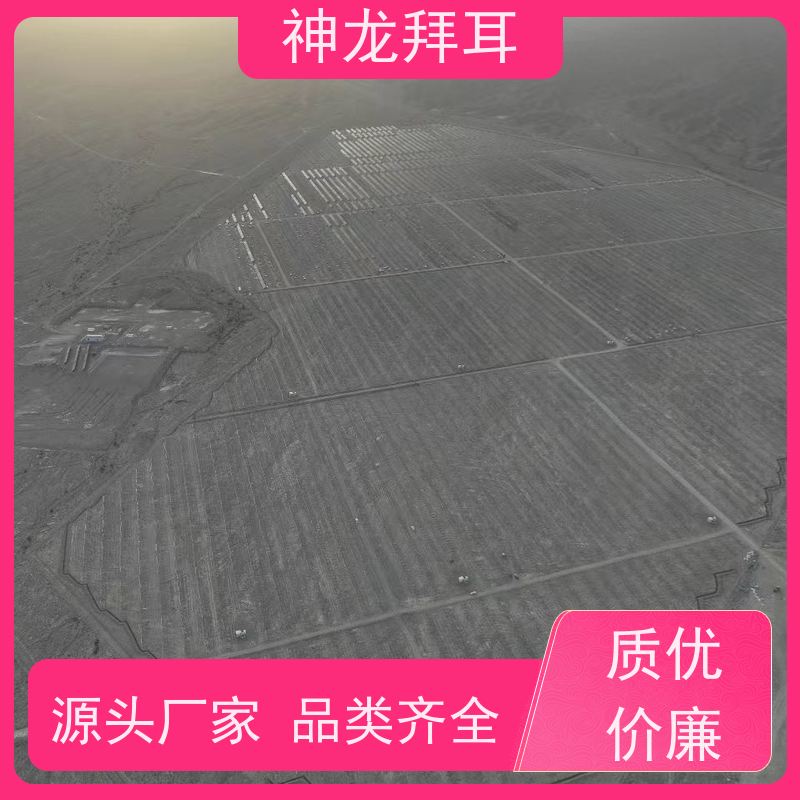 神龙拜耳 单轴跟踪式光伏支架 高效 生产厂家