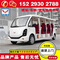 榆林五菱电动观光车 观光电动车 美景尽览旅途非凡