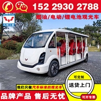 五菱购买观光车价格 电动车子观光车