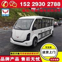 延安五菱电瓶旅游观光车 买观光车大约要多少钱