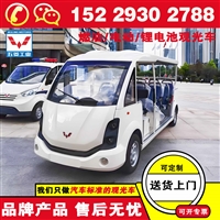 电瓶观光车品牌厂家 五菱电车观光车