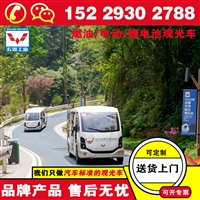 五菱电动电动观光车价格 旅游观光车的生产厂家