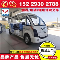 汉中五菱旅游观光车单价 品牌电动观光车排行榜