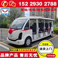 陕西安康五菱锂电池观光电瓶车