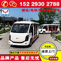 商洛五菱锂电池观光车 观光摆渡车 车景共融旅途无忧