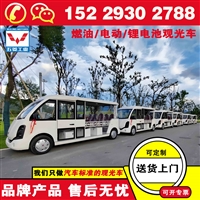 渭南五菱电动观光车 观光电瓶车 视野开阔安心畅游