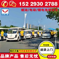 五菱燃油观光车 安全性高耐用性强