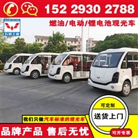 陕西铜川五菱磷酸铁锂观光车