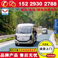 五菱燃油观光车 旅游观光车哪个品牌好