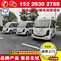 陕西汉中五菱磷酸铁锂观光车