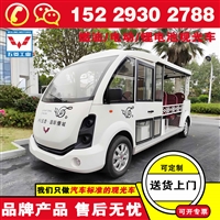 安康五菱磷酸铁锂电池观光车
