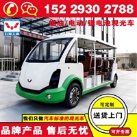 延安五菱磷酸铁锂观光车