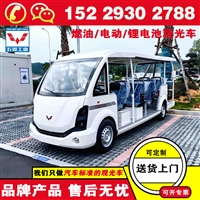 延安五菱燃油观光车