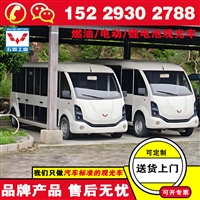 五菱燃油观光游览车 灵活性好适应性广