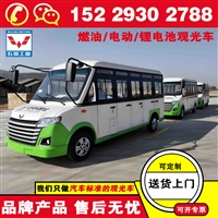 五菱景区内燃观光车 8座观光车生产厂家