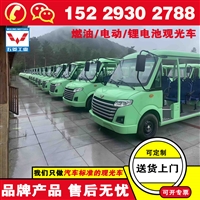 西安五菱磷酸铁锂电池观光车