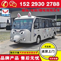 陕西渭南五菱磷酸铁锂电池观光车