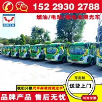 五菱电动观光车电瓶报价 电车观光车