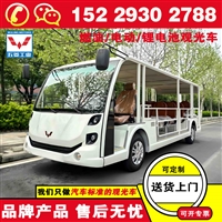 五菱景区电动观光车多少钱一辆 观光车在哪买