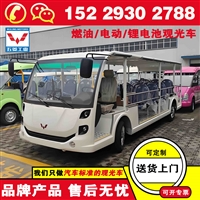 安康五菱买观光车需要多少钱 电动观光车哪个厂家好