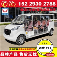西安五菱磷酸铁锂观光车