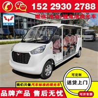陕西宝鸡五菱磷酸铁锂电池观光车