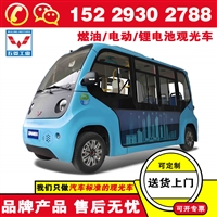 五菱磷酸铁锂观光车 视野开阔安心畅游