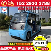 铜川五菱磷酸铁锂电池观光车