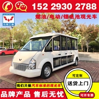 榆林五菱锂电池观光电动车