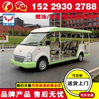 五菱燃油观光车 旅游游览车价格